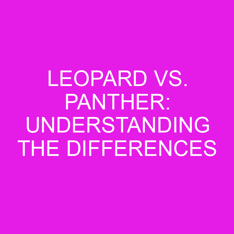 leopard vs panther understanding the differences 11946