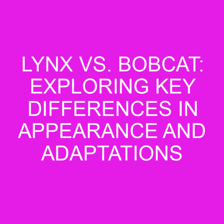 Lynx vs. Bobcat: Exploring Key Differences in Appearance and Adaptations