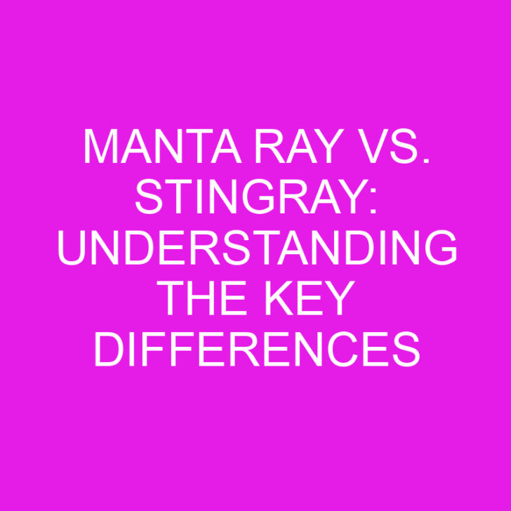 Manta Ray vs. Stingray: Understanding the Key Differences