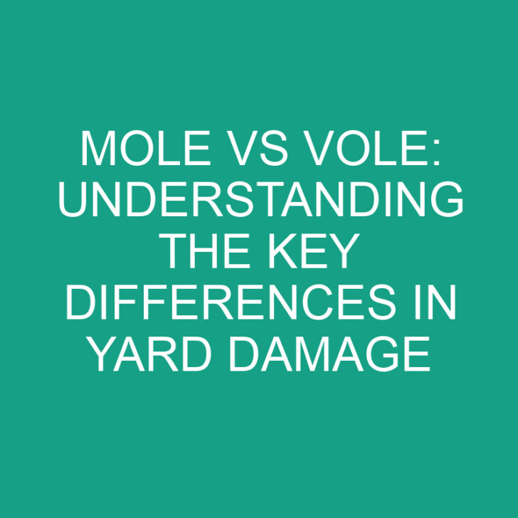 Mole vs Vole: Understanding the Key Differences in Yard Damage