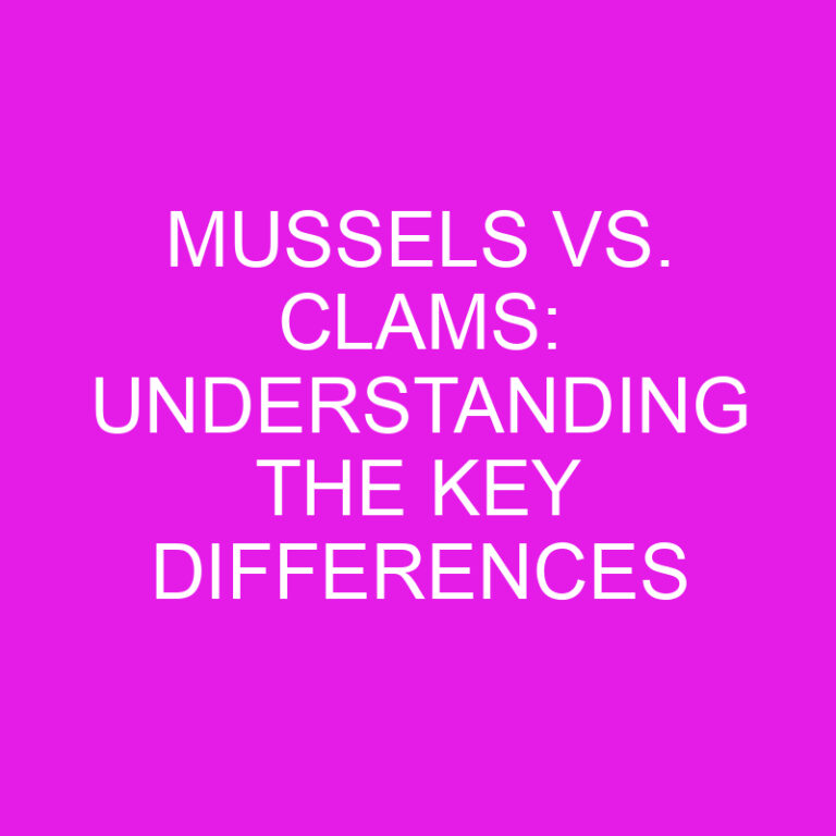 Mussels vs. Clams: Understanding the Key Differences 2 Mussels vs. Clams: Understanding the Key Differences