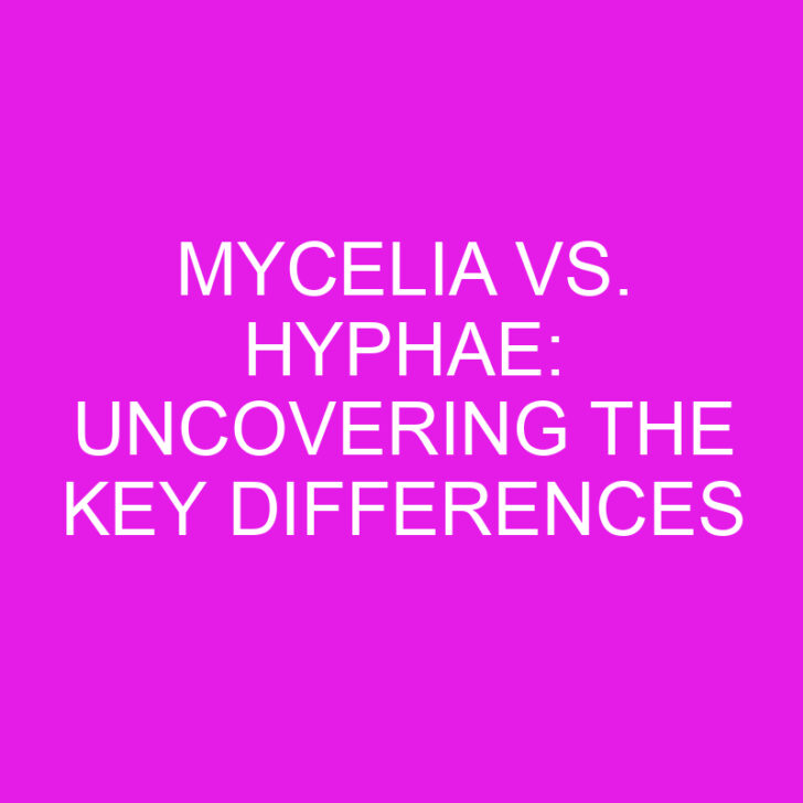 Mycelia vs. Hyphae: Uncovering the Key Differences