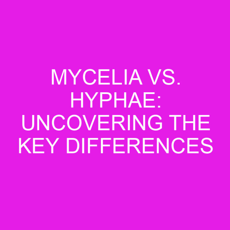 Mycelia vs. Hyphae: Uncovering the Key Differences