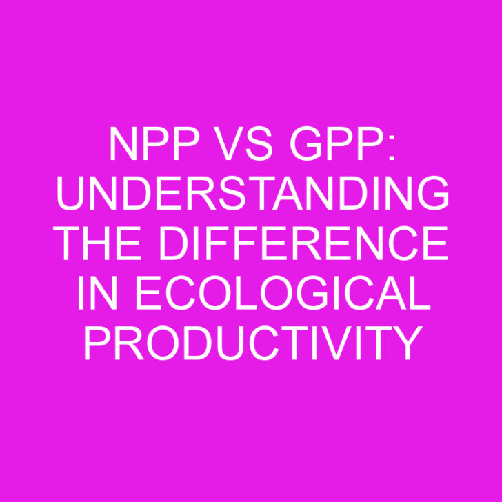 NPP vs GPP: Understanding the Difference in Ecological Productivity