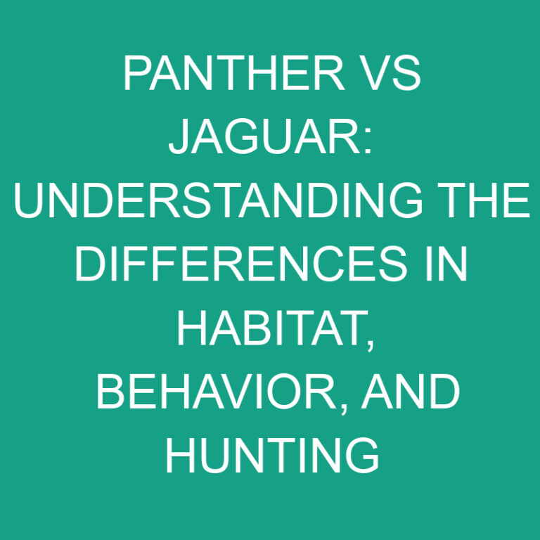 Panther vs Jaguar: Habitat, Behavior, and Hunting Patterns