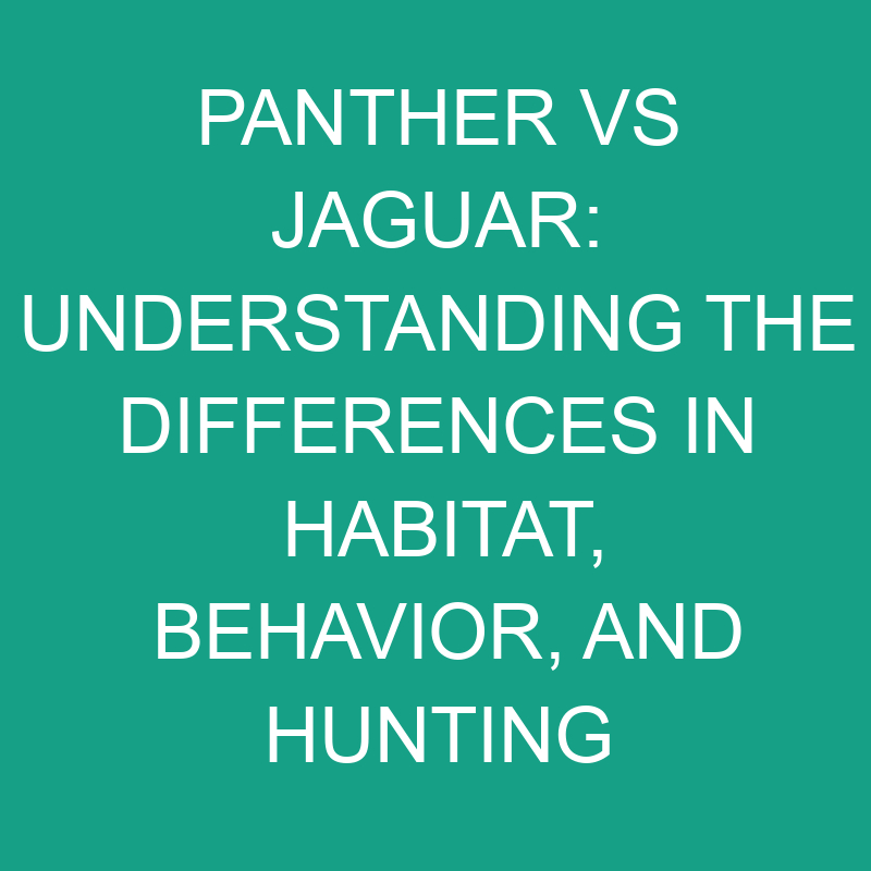 Panther vs Jaguar: Habitat, Behavior, and Hunting Patterns 1 panther vs jaguar understanding the differences in habitat behavior and hunting patterns 11794
