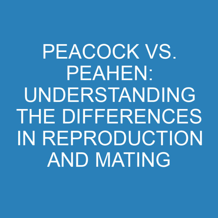 Peacock vs. Peahen: Understanding the Differences in Reproduction and Mating