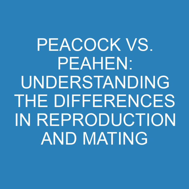 Peacock vs. Peahen: Understanding the Differences in Reproduction and Mating