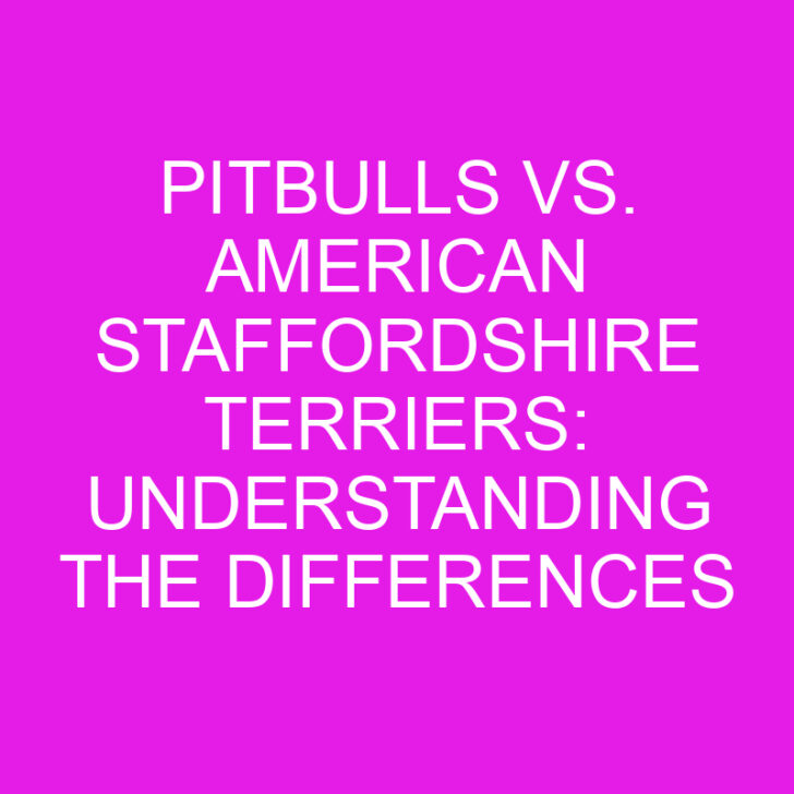 Pitbulls vs. American Staffordshire Terriers: Understanding the Differences