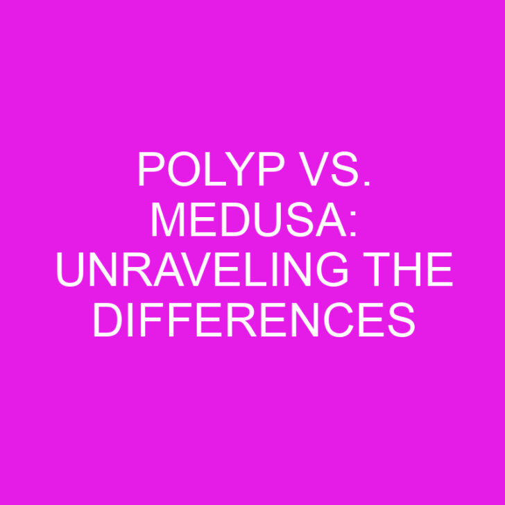 Polyp vs. Medusa: Unraveling the Differences