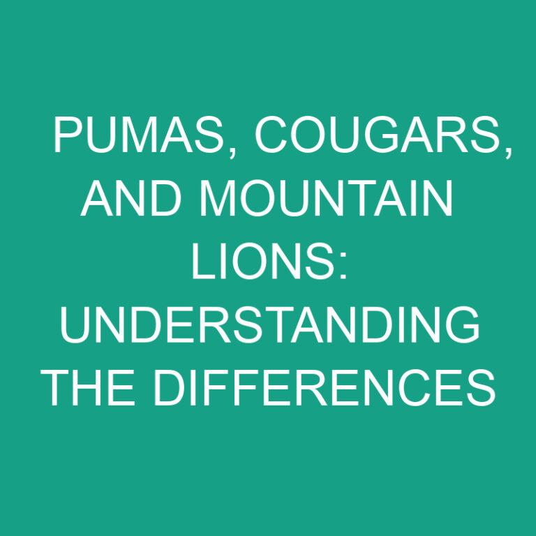 Pumas, Cougars, and Mountain Lions: Understanding the Differences