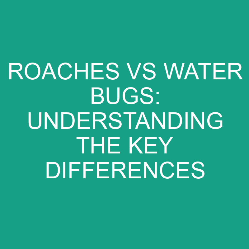 roaches vs water bugs understanding the key differences 11842