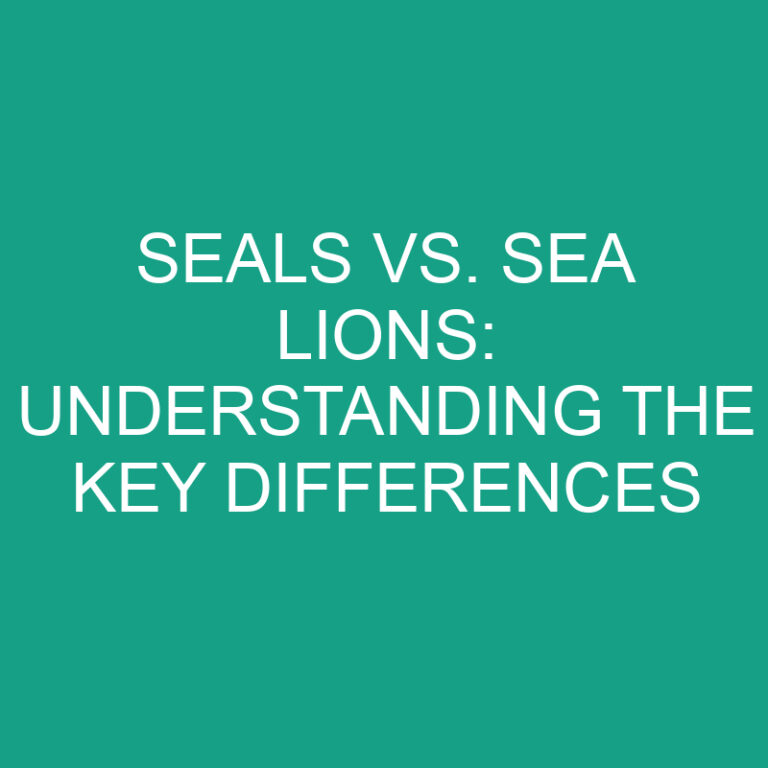 Seals vs. Sea Lions: Understanding the Key Differences