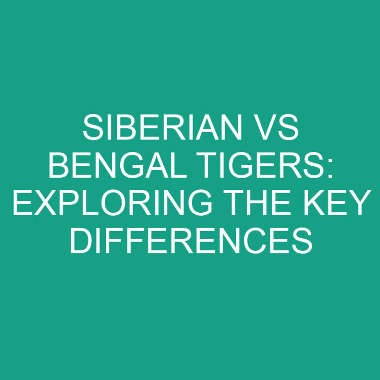 Siberian vs Bengal Tigers: Exploring the Key Differences