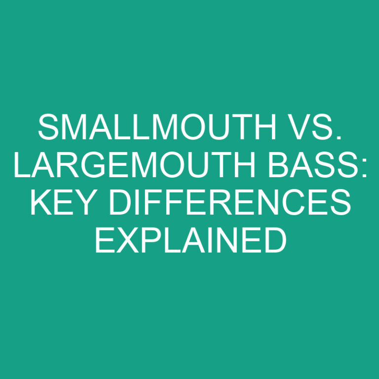 Smallmouth vs. Largemouth Bass: Key Differences Explained