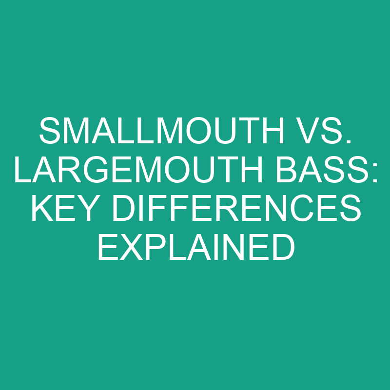 smallmouth vs largemouth bass key differences