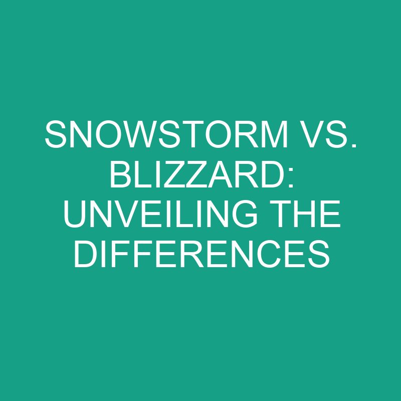 snowstorm vs blizzard unveiling the differences 11805