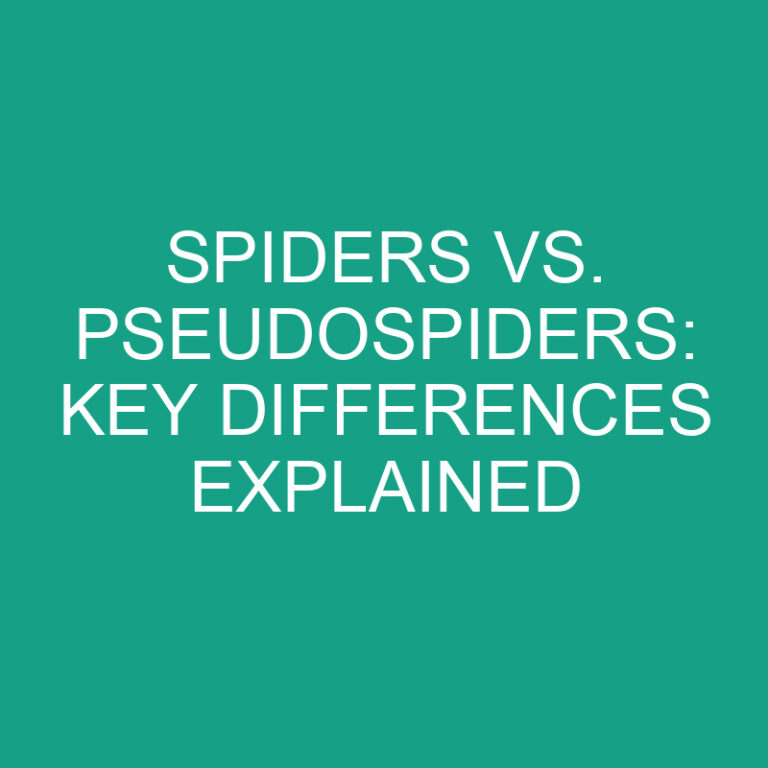 Spiders vs. Pseudospiders: Key Differences Explained