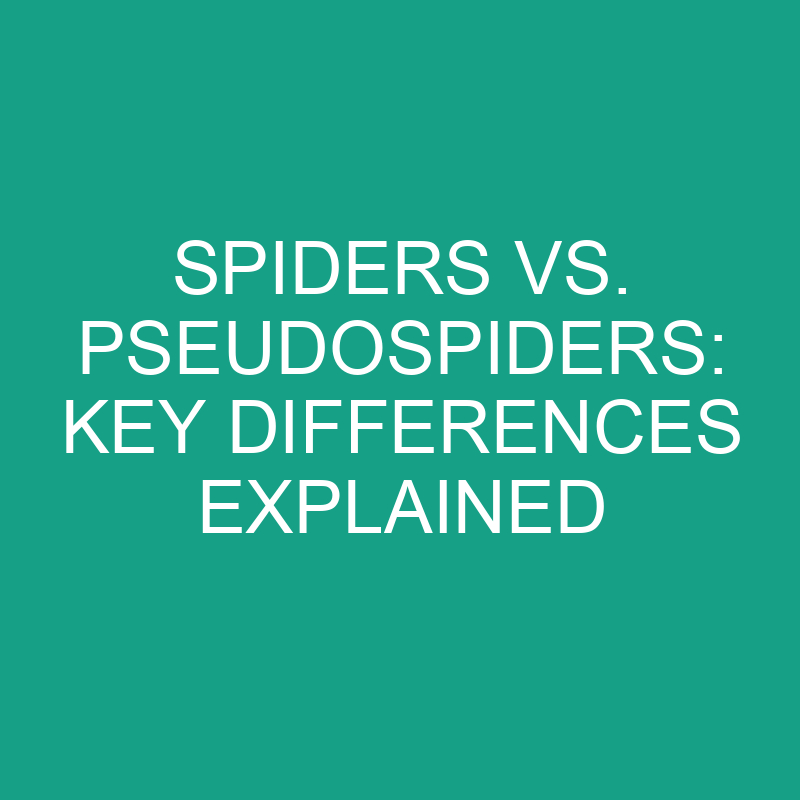 Spiders vs. Pseudospiders: Key Differences Explained 1 spiders vs pseudospiders key differences