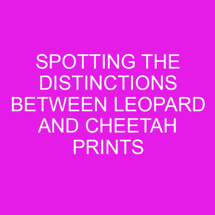 Spotting the Distinctions Between Leopard and Cheetah Prints