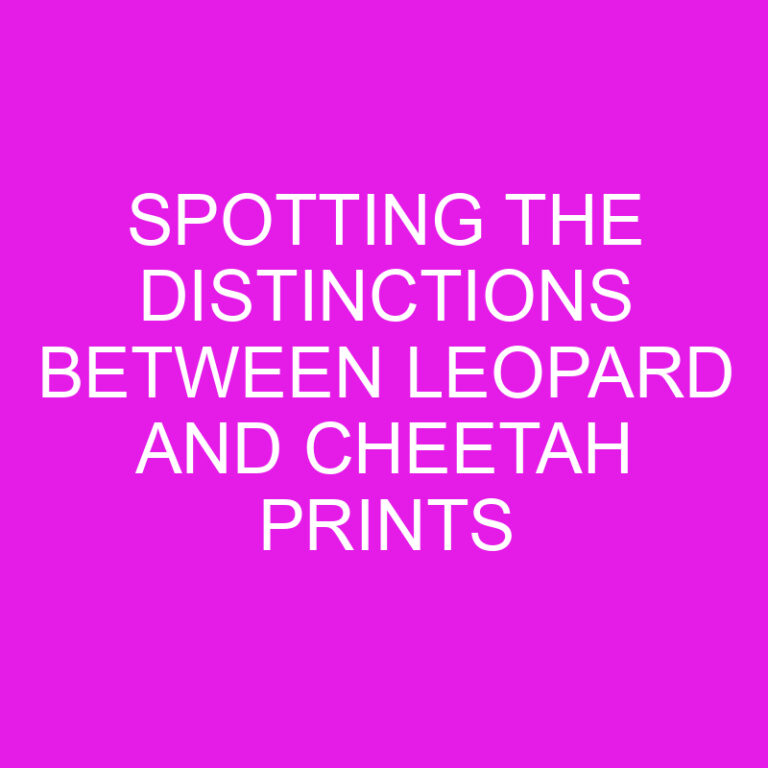 Spotting the Distinctions Between Leopard and Cheetah Prints