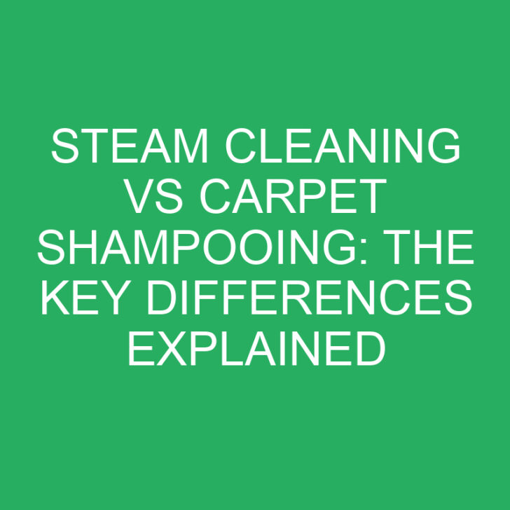 Steam Cleaning vs Carpet Shampooing: The Key Differences Explained