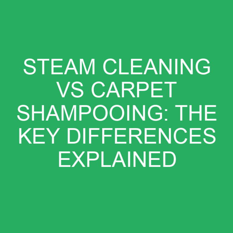 Steam Cleaning vs Carpet Shampooing: The Key Differences Explained
