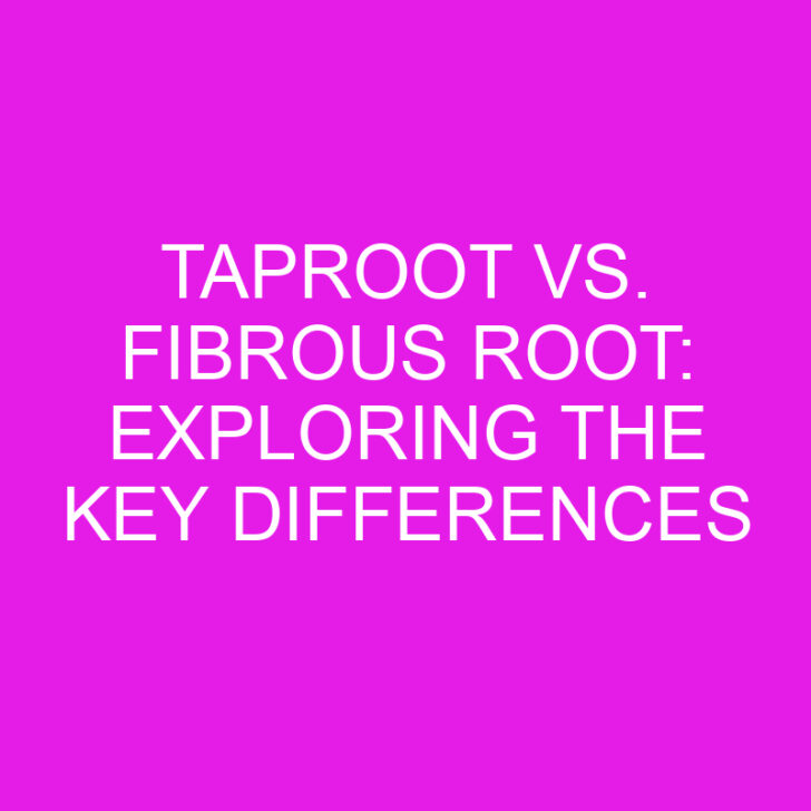 Taproot vs. Fibrous Root: Exploring the Key Differences