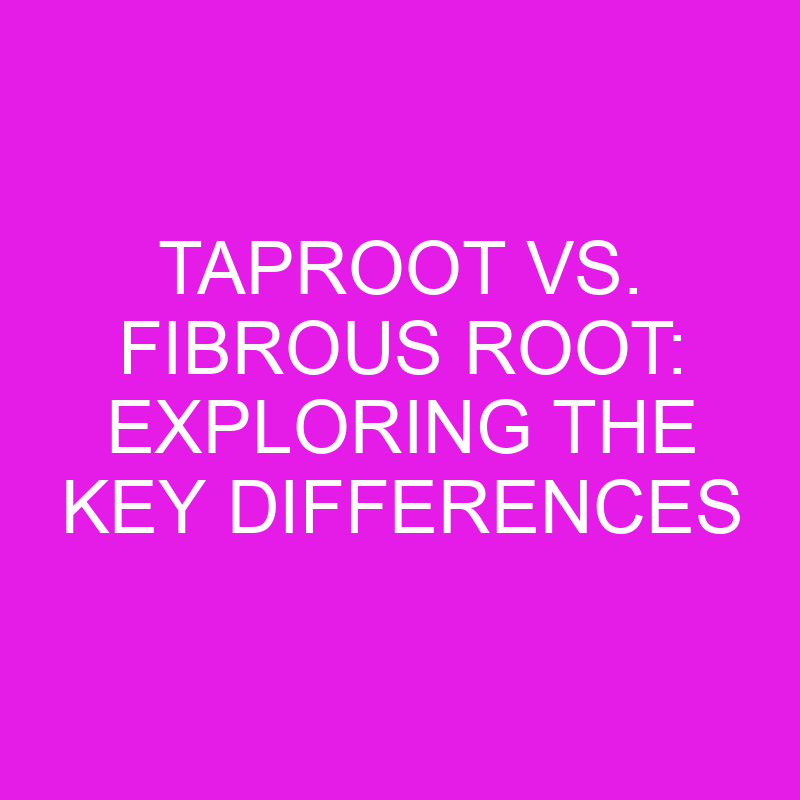 Taproot vs. Fibrous Root: Exploring the Key Differences 1 taproot vs fibrous root exploring the key differences 11883