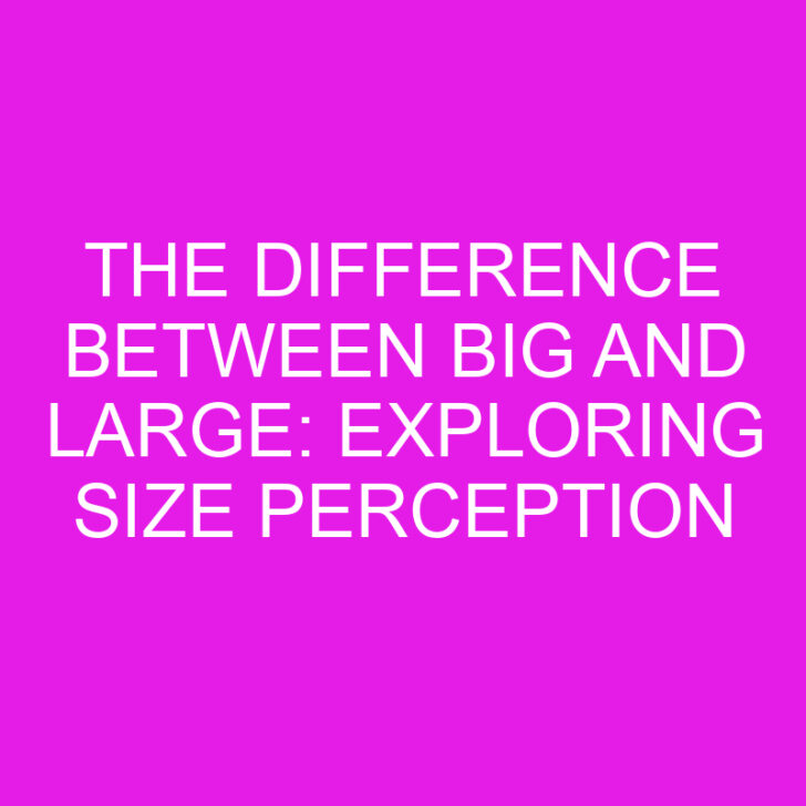 The Difference Between Big and Large: Exploring Size Perception