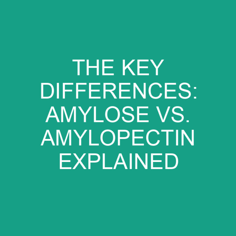 The Key Differences: Amylose vs. Amylopectin Explained