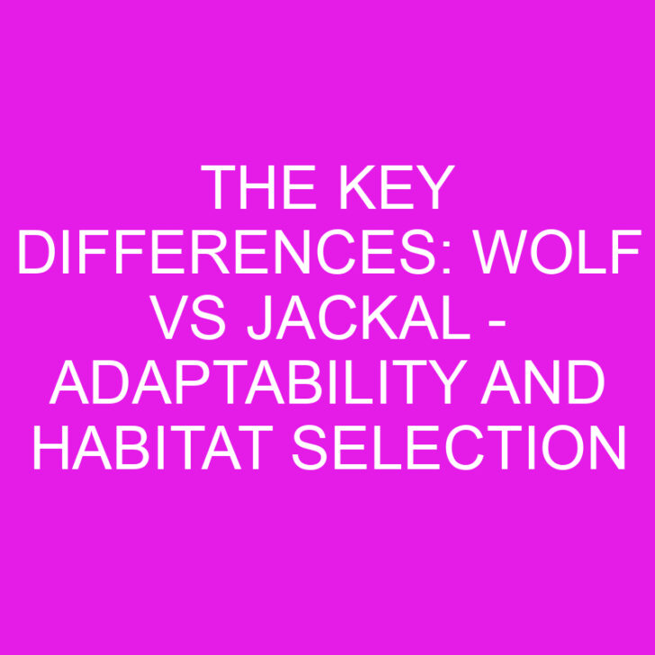 The Key Differences: Wolf vs Jackal – Adaptability and Habitat Selection