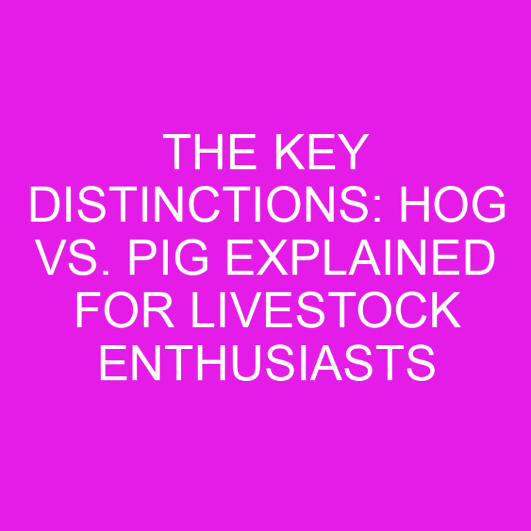 The Key Distinctions: Hog vs. Pig Explained for Livestock Enthusiasts 6 The Key Distinctions: Hog vs. Pig Explained for Livestock Enthusiasts