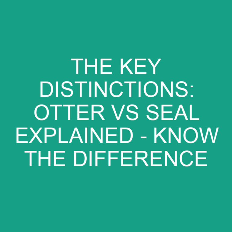The Key Distinctions: Otter vs Seal Explained – Know the Difference