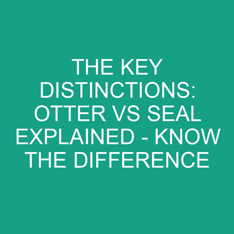 the key distinctions otter vs seal explained know the difference 11798