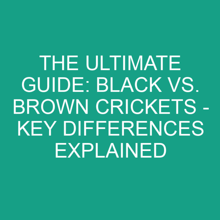 The Ultimate Guide: Black vs. Brown Crickets – Key Differences Explained