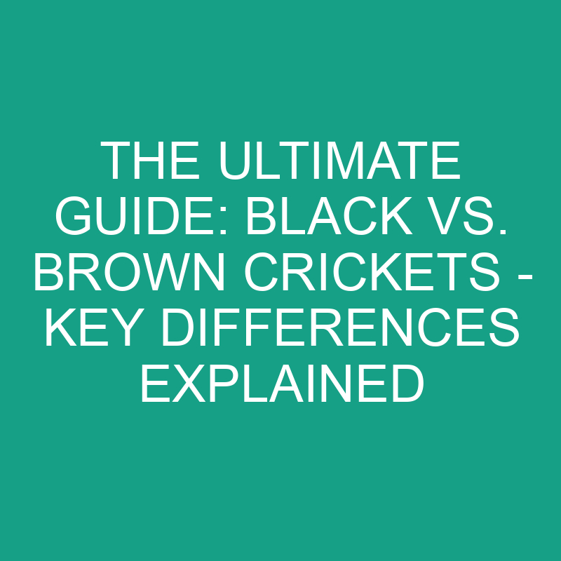 the ultimate guide black vs brown crickets key differences
