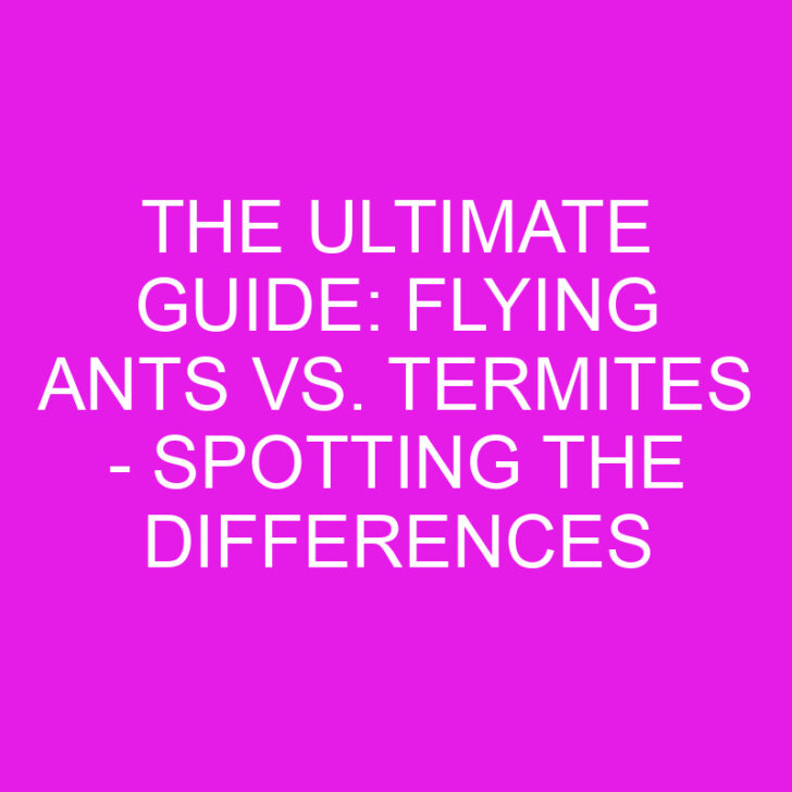 The Ultimate Guide: Flying Ants vs. Termites – Spotting the Differences