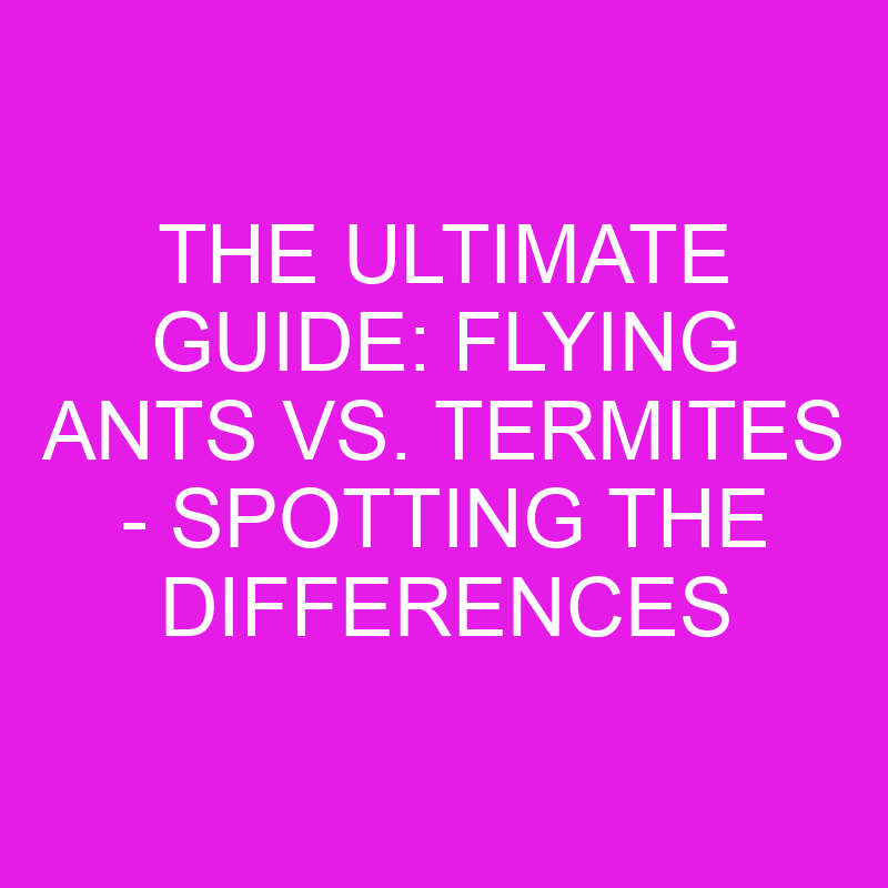 the ultimate guide flying ants vs termites spotting the differences 11957