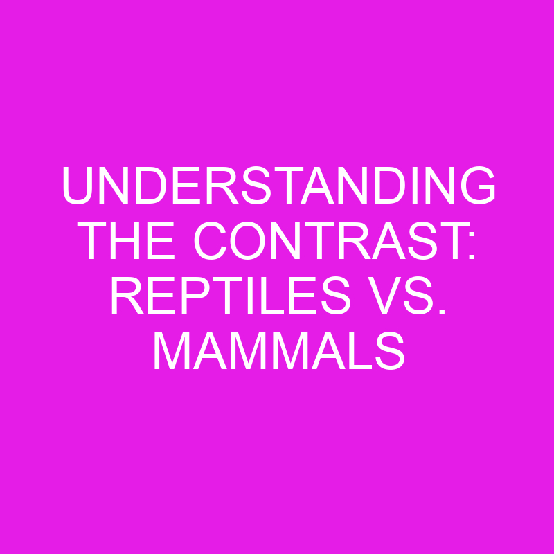 Understanding the Contrast: Reptiles vs. Mammals 1 understanding the contrast reptiles vs mammals 11996