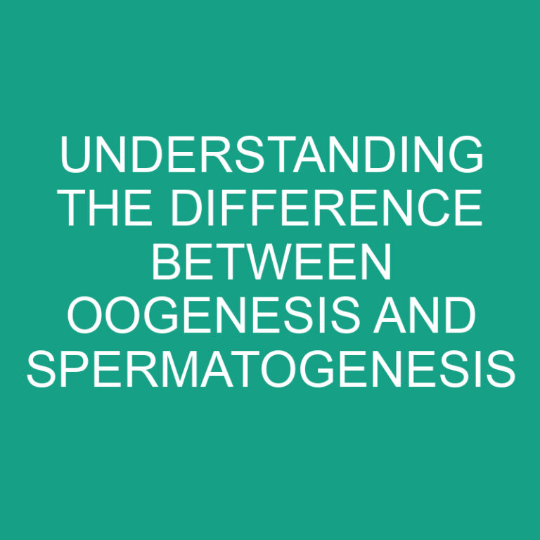 Oogenesis Vs Spermatogenesis Understanding Differences