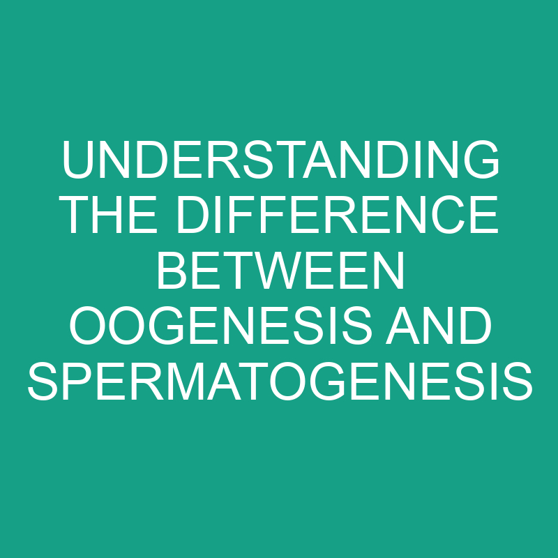 Oogenesis Vs Spermatogenesis Understanding Differences 1 understanding the difference between oogenesis and spermatogenesis 11859