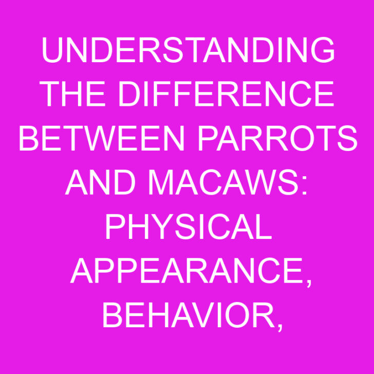 Understanding the Difference Between Parrots and Macaws: Physical Appearance, Behavior, and Habitat