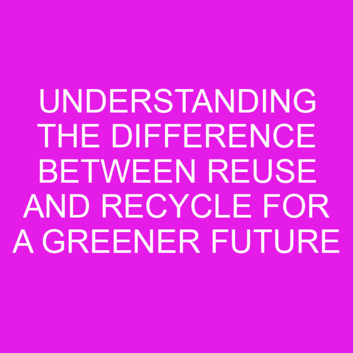 Understanding the Difference Between Reuse and Recycle for a Greener Future