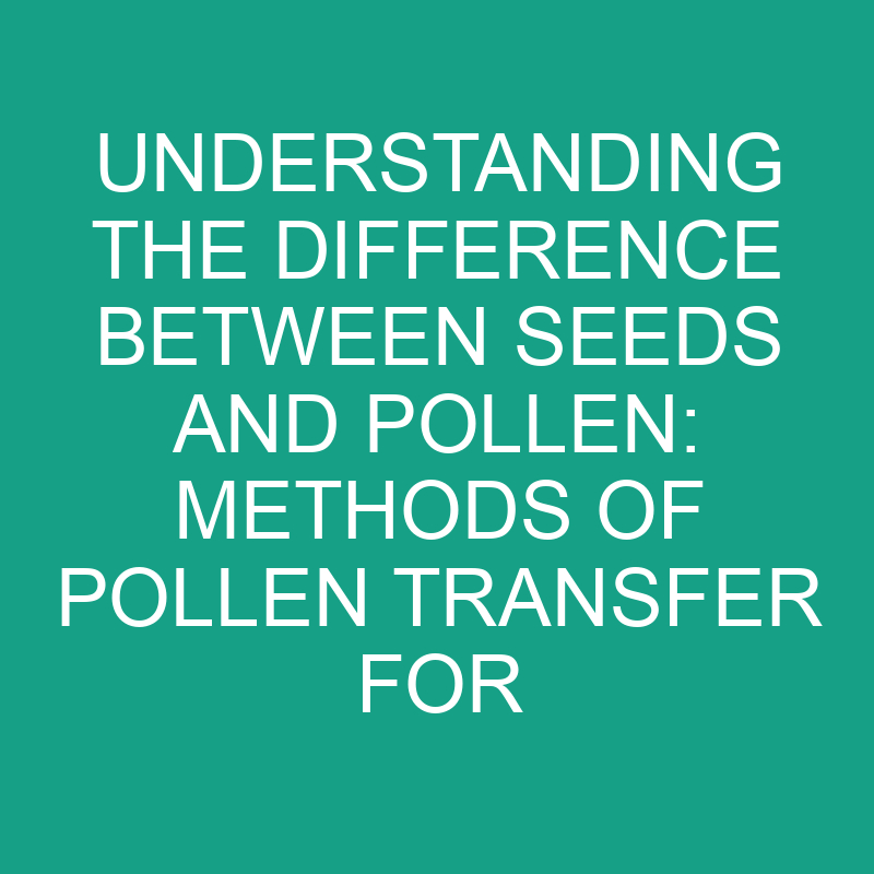 understanding the difference between seeds and pollen methods of pollen transfer for successful plant reproduction 11774