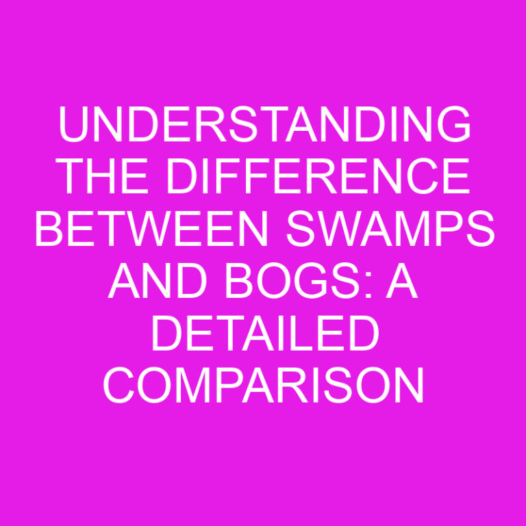 Understanding the Difference Between Swamps and Bogs: A Detailed Comparison