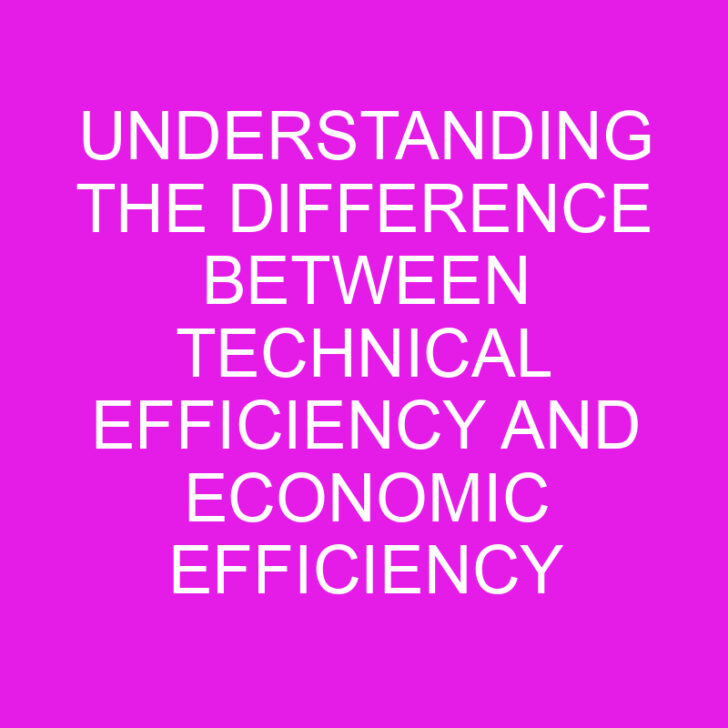 Understanding the Difference Between Technical Efficiency and Economic Efficiency