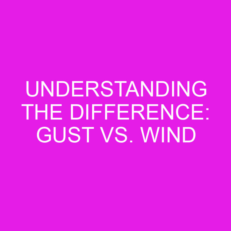 Understanding the Difference: Gust vs. Wind