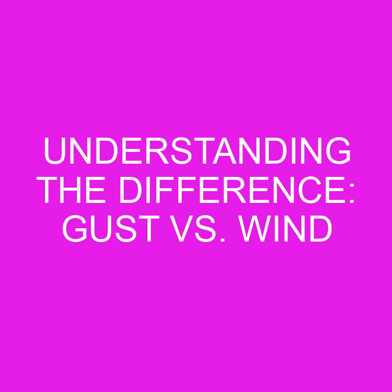 understanding the difference gust vs wind 11991