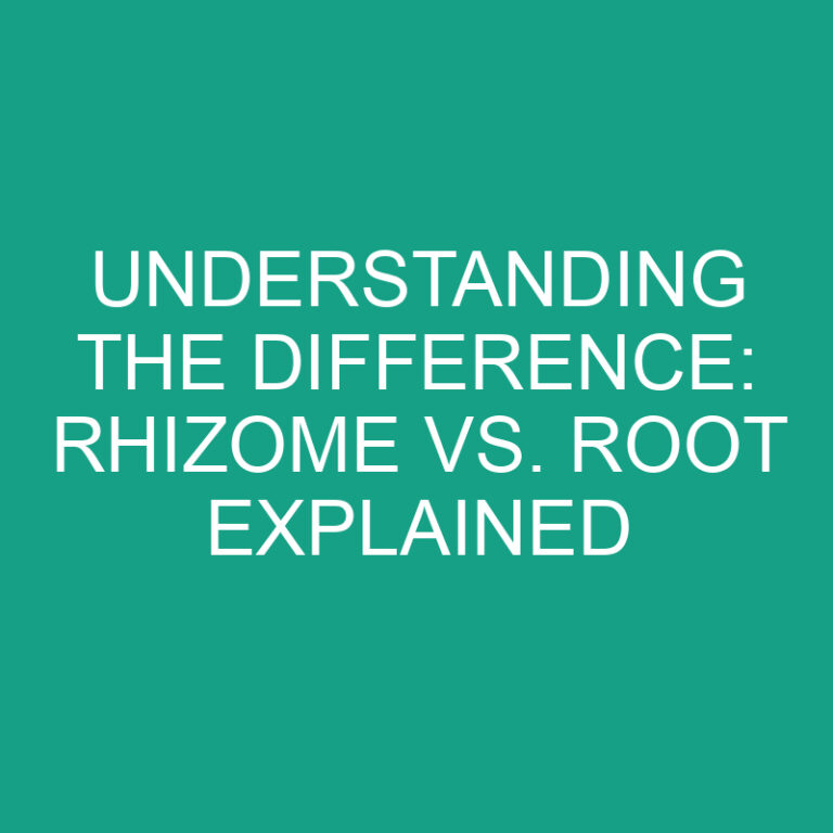 Understanding the Difference: Rhizome vs. Root Explained